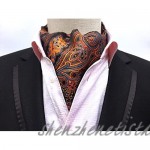 MENDENG Men's Blue Paisley Jacquard Woven Silk Cravat Necktie Scarf Formal Ascot